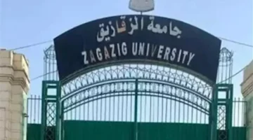 25 كلية بالمحافظة.. خريطة تخصصات جامعة الزقازيق وبرامج تعليمية تفتح آفاق العمل